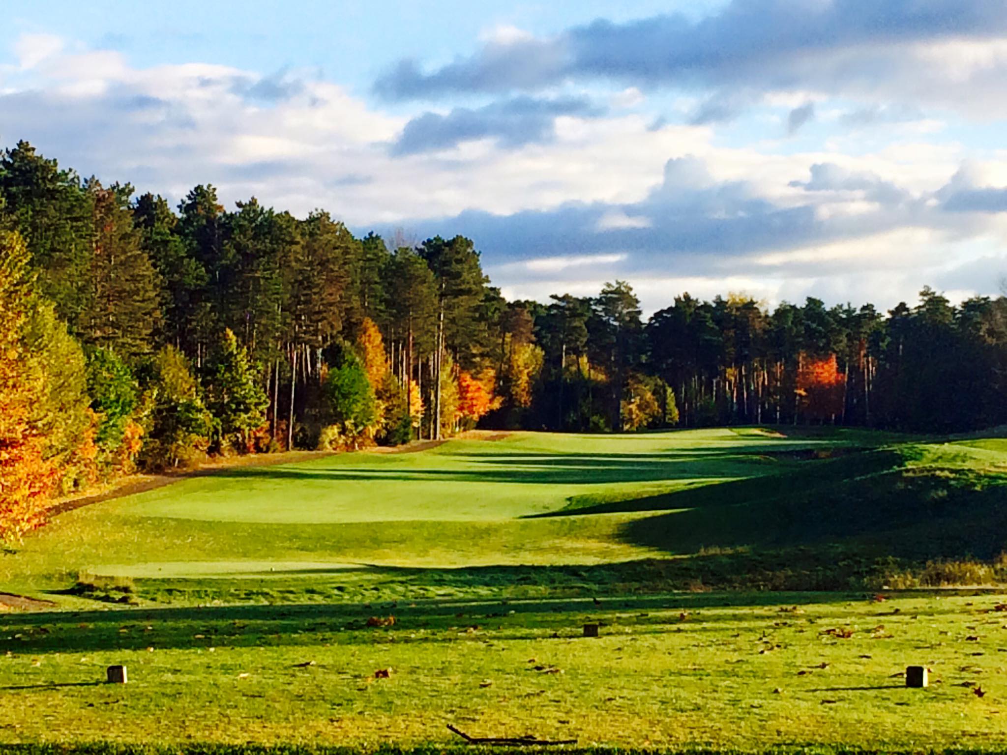 Golf - Timber Trace Golf Club