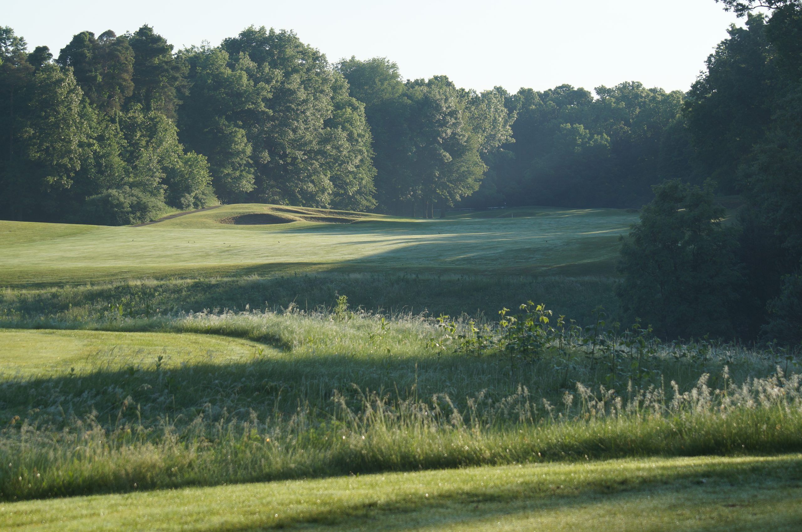 Pre-Season Sale - Weekday Rounds for $35